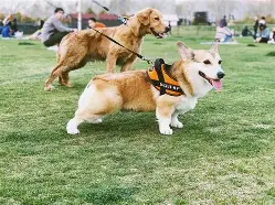 ??搫蜤广崙q茟?玣<~虋y??踧*颞G?>?擝6衎